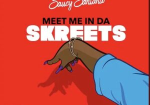 Saucy Santana Meet Me in Da Skreets Mp3 Download